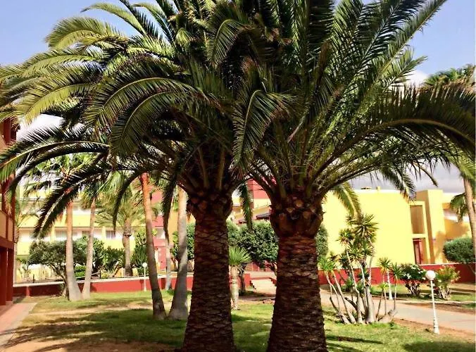 Apartament Pax Et Bonum Parque Holandes