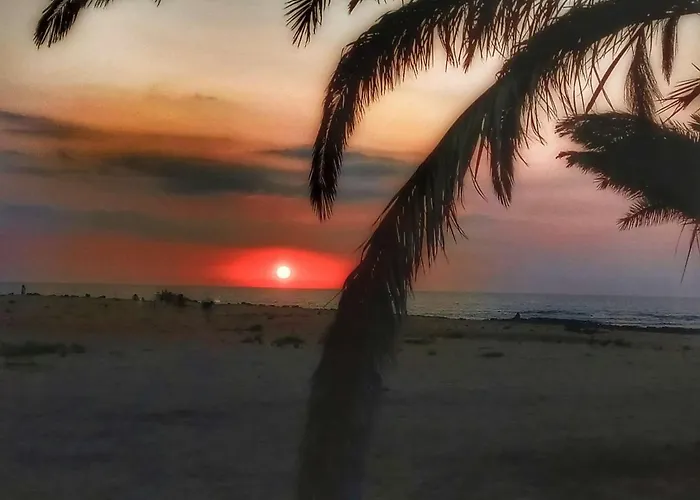 Apartament Pax Et Bonum