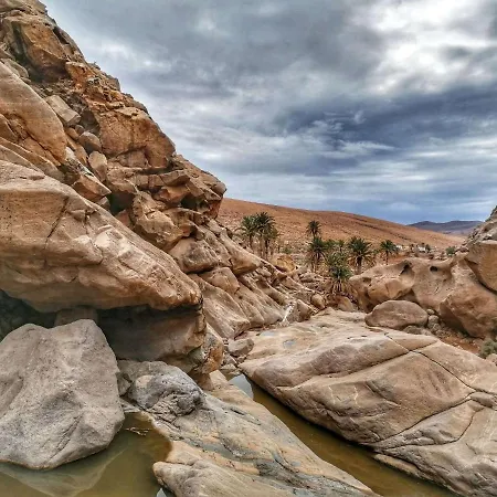 Pax Et Bonum Parque Holandes