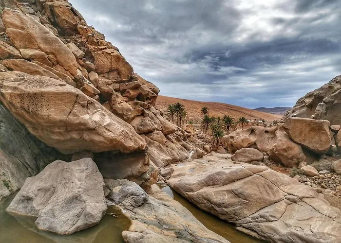 Pax Et Bonum Parque Holandes